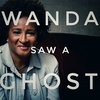 S4 E11 - Wanda Saw A Ghost