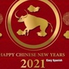 117 La celebración del Año Nuevo chino 2021 con Pandemia