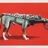 Sputnik 2, Laika, and the Soviet Space Dog Program
