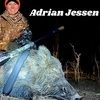 Adrian Jessen (Review this thing)