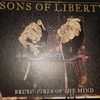 Pt.1 review of sons of liberty, " brush fires of the mind"