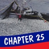 Chapter 25: The Herring Circuit
