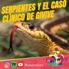 192 - Serpientes Y El Caso Clínico De Givive