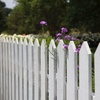 Peering Over the Fence