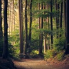 The Sacrament of Being in Nature