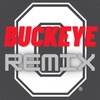 Buckeye Remix: Wisconsin