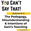 Episode # 14 - The Pedagogy, Misunderstanding and Intentions of Sam's Teaching