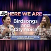 Birdsong and City Noise