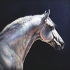#138 – Horse Genre