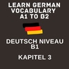 German_Niveau_B1_Chapter3_Part1