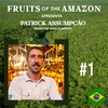 Patrick Assumpção - Produtor Agroflorestal
