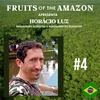 Horácio Luz - Engenheiro e Engenheiro Florestal da ESALQ / USP