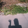 3. Self isolation, the process of integration & building trust with the Universe