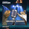 Squirrel Karaoke - Bonfire 02.16