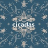 Cicadas / Cicada Sounds for Sleep, Meditation and Relaxation (2 Hours, Loopable)