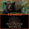 The cocain Bear Reviews are here! My Thoughts on the Wizarding World. 
