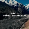 What Is Insured Resilience 1.0?