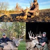 Three Giant Whitetails in One Season: How Anyone Can Kill Monster Bucks -With Tyler Knott