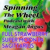 Beltane/Litha Season Super Full Strawberry Dyad Moon in Sagittarius Lunar Week 19