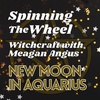 Yule/Imbolc Season New Moon in Aquarius, Lunar Week 49