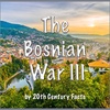 The Bosnian War: 1992 - 1995