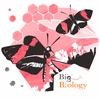 Butterfl-eyes: The evolution and function of insect vision (Ep 69)