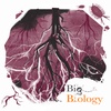 Hidden network: The evolutionary relationship between arbuscular mycorrhizal fungi and plants (Ep 75)