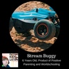 Stream Buggy - 6 Years Old, Product of Worldschooling and Positive Parenting