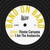 Episode 019 - Vinnie Caruana / I Am The Avalanche 