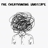 The Overthinking Landscape