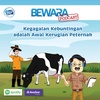 Kegagalan Kebuntingan adalah Awal Kerugian Peternak