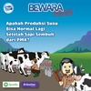 Apakah Produksi Susu Bisa Normal Lagi Setelah Sapi Sembuh dari PMK?