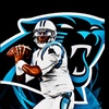 Are the Panthers a good organization?