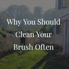Why You Should Clean Your Brush Often