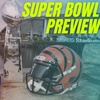 Super Bowl Preview