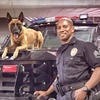 Great K9 Capers with Sgt. MIKE GOOSBY, Chief Trainer LAPD K9 Metro!