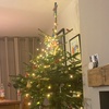 Christmas Greetings