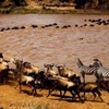 Tourism in Kenya during Covid Era.