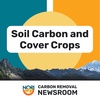 Soil carbon and cover crops