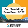 Can 'Rewilding' Draw Down CO2?