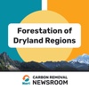 Foresting Dryland Regions