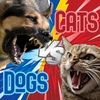 8 - Dogs v. Cats