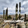 Ep 6: Sandgrown'un (Morecambe Bay/Lancashire)