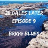 Ep 9: Brigg Blues (Yorkshire Coast)