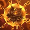 Tips To Avoid Coronavirus | Truth About Corona Virus