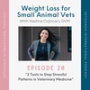 #28 3 Tools to Stop Stressful Patterns in Veterinary Medicine