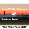 “The Wilderness State”. John Wesley Sermon #46: Short and Sweet!