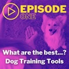 What are the best...? Dog Training Tools