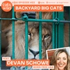 Backyard Big Cats: Devan Schowe, Born Free USA