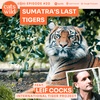 Sumatra's Last Tigers: Leif Cocks, International Tiger Project